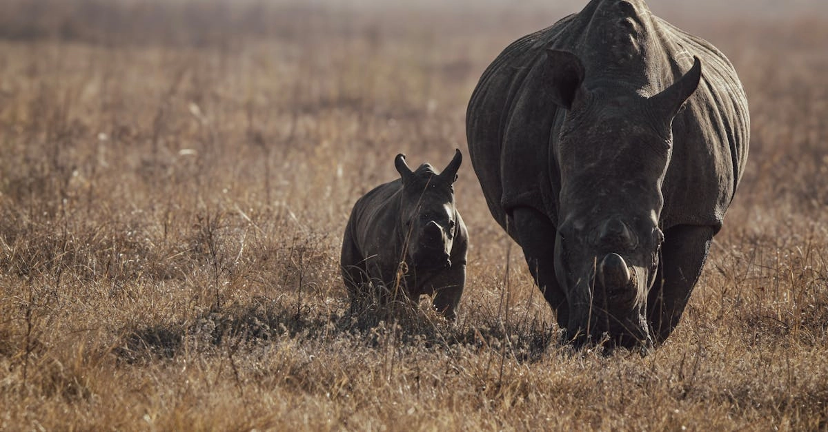 Игровой автомат Great Rhino Deluxe с африканскими животными