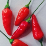 Интерфейс слота Chilli Heat Megaways с мексиканской тематикой
