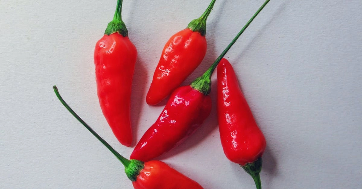 Интерфейс слота Chilli Heat Megaways с мексиканской тематикой